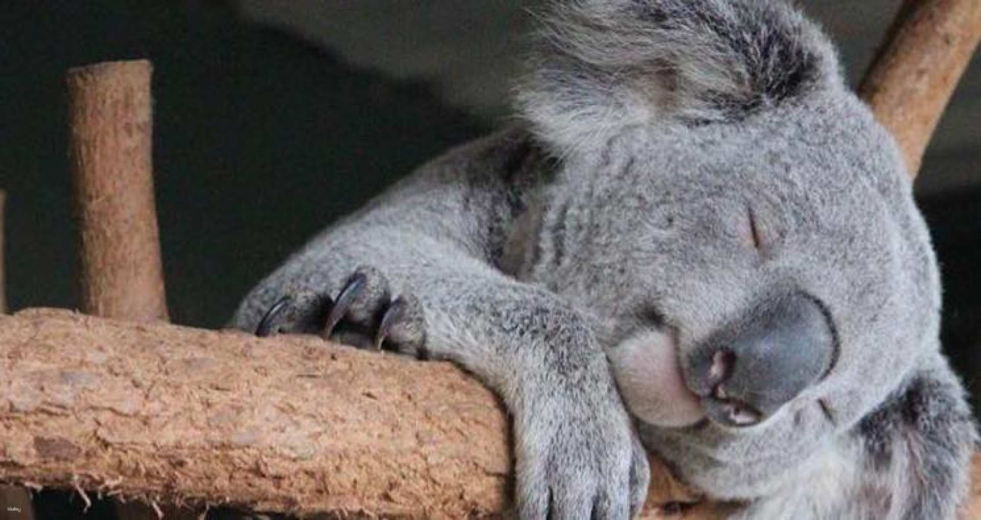 Featherdale Sydney Wildlife Park